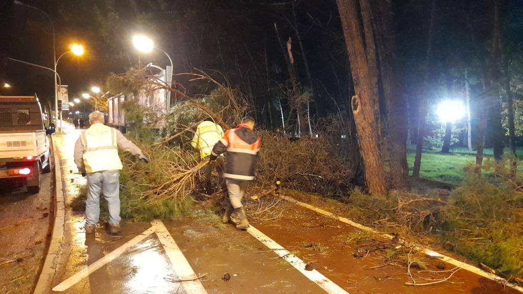 BÜYÜKŞEHİR GECE BOYU TEYAKKUZDAYDI